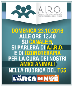 arca-di-noe